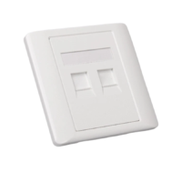 AICO 2 Port Face Plate WITH JACK