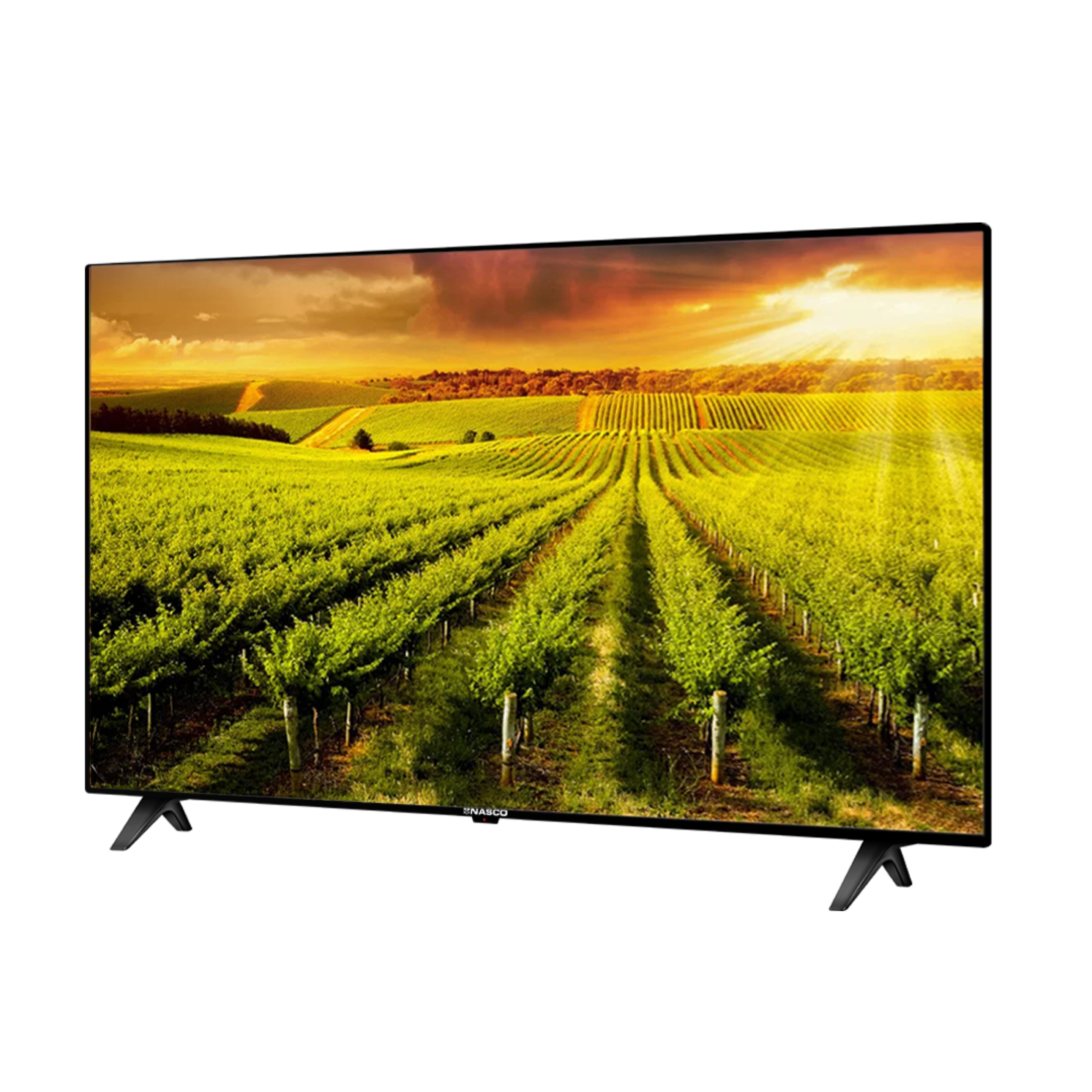 Nasco 43″ LED Flat TV NAS-B43FBFL