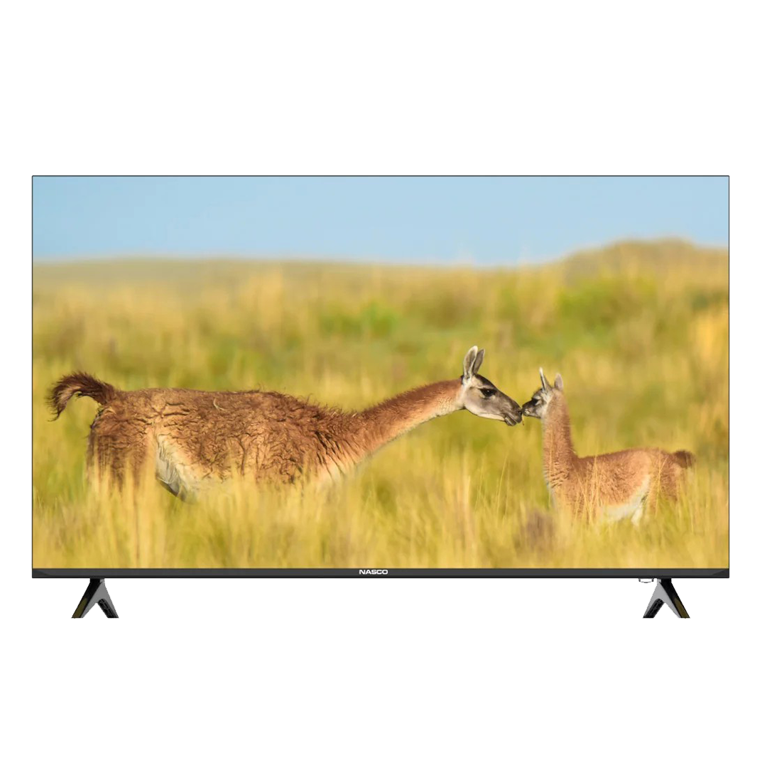 Nasco 50-inch Smart LED TV